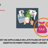 Interest on Applicable on Late Filing of GST Returns Despite Payment from Credit Ledger